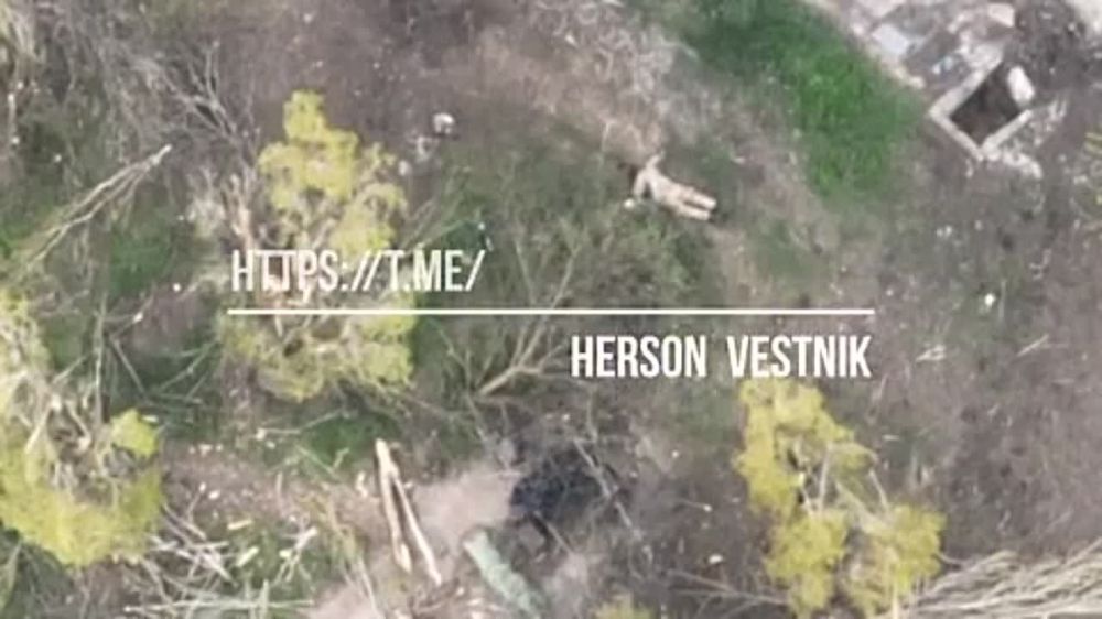 �� �� ������� ���� �� ����������� "��������" ��� ������ ����� ���������������� �������