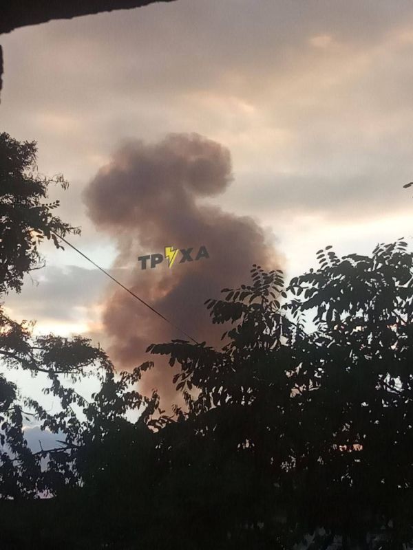 ������ ���� �� ������� ����