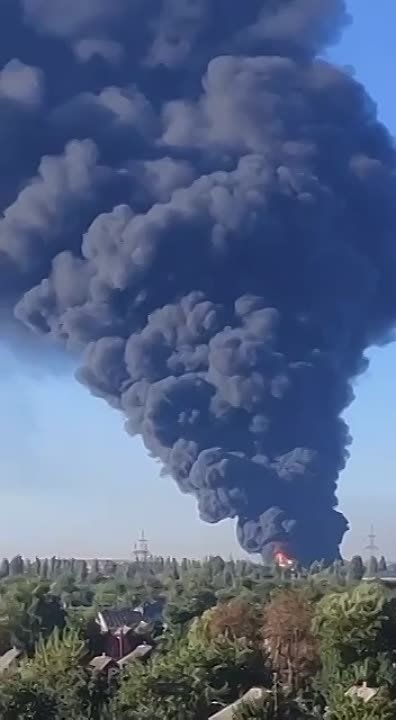 ����� ���� 5-6 ��������