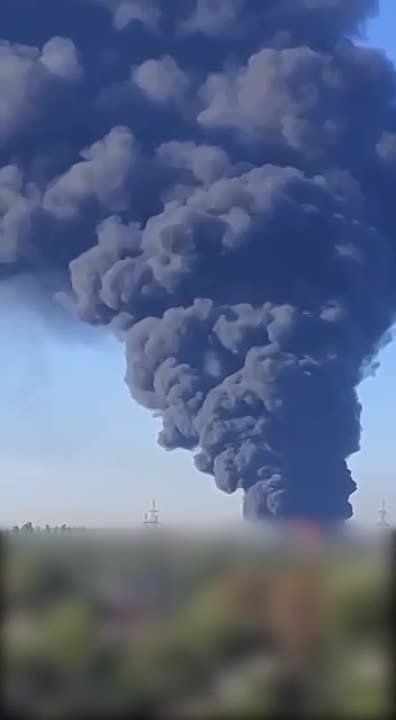 ���������� �������������� ��������������� ��-95�� ������� �������� ���� �� ��������� � ������ ����