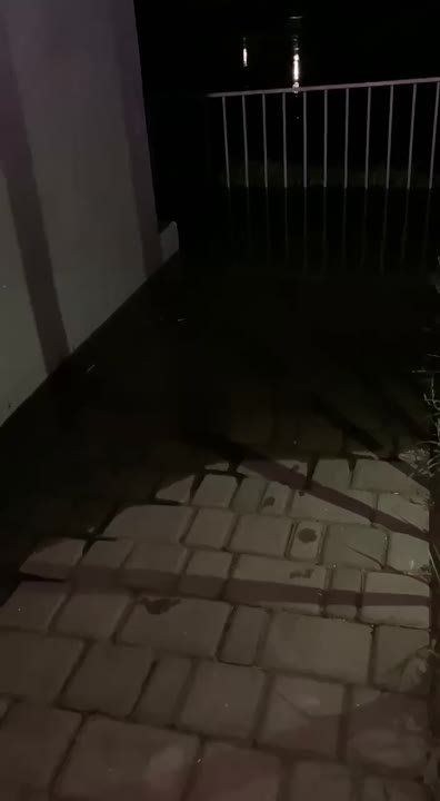 ������� ���� � ������ ���� ���������� ����������� �� ������