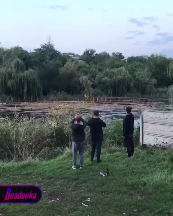 ���� ������� ��������� �� 2,5 ����� � ����� ���� ������ ��������� � ������������ ���������� ����������