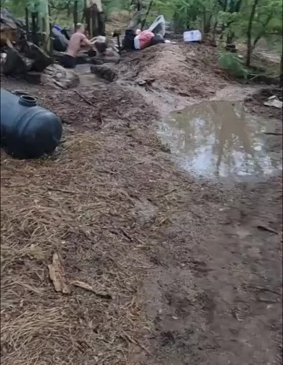 ���� �� �������: ���������� ���������� ���� ����� ����� �� ������������� ������� ��� ������ �����