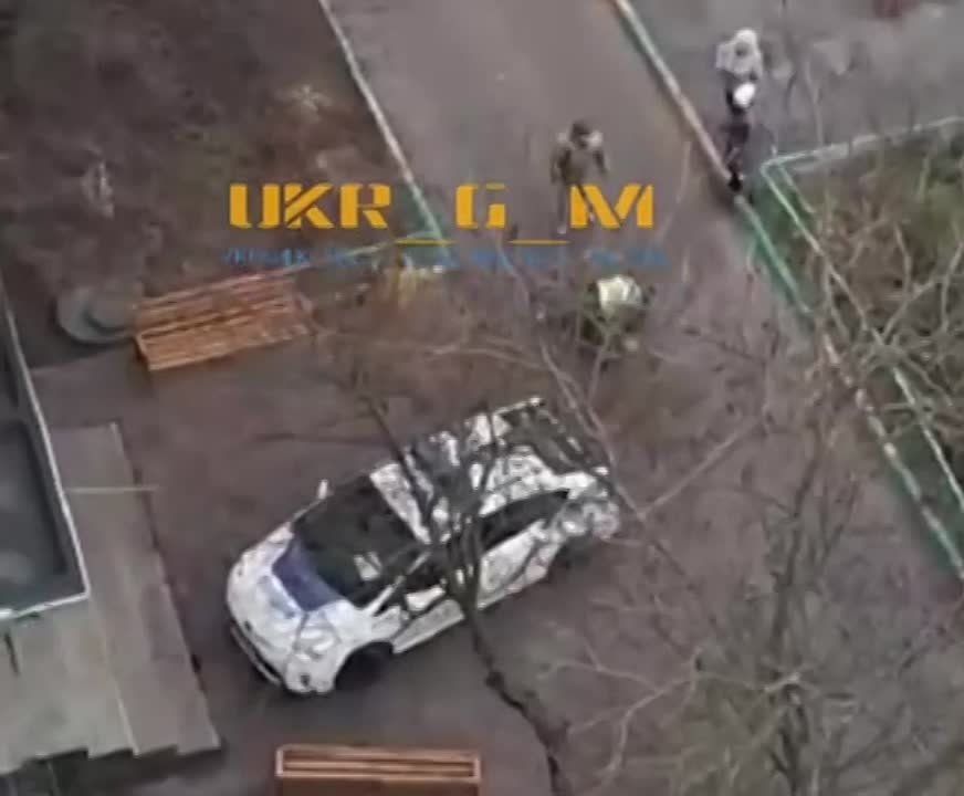 ����� �����: ����������� � ������ ����, ��� � ����� ����� ������� ���������