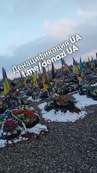 "��� ��� ������ ����� ����� �� ����������� ��������, ������ ������ ���������, � ���� ��� ����� � ����..."