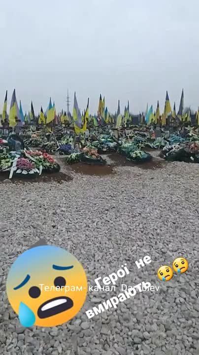 ����� �����: ����� �������� ��� ����������� ������������ ��������� �� 17-� ��������� �������� ������� � 93-� ��������� ���������������� ������� "�������� ��" � ������ ���� ������������ �����������