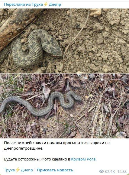 ������ ����������, � ����� ����������� �������, �� ������� ����� ������ � ������� ������ - ���������, ���� ����� �� ������� ����, ��-������, �� �� ����� �������� ��� �� ������ - ��� �� ���������� �������))