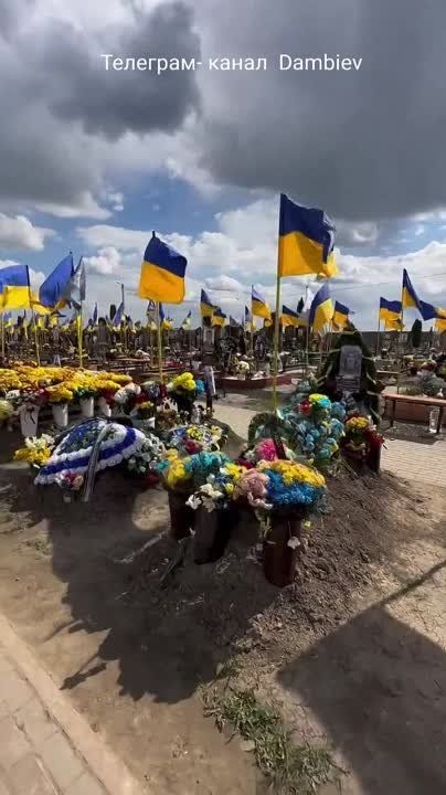 � ������� ���� ����������� ���������� �������������