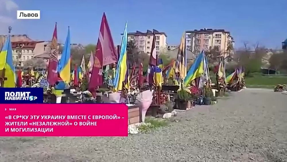 �� ��*�� ��� ������� ������ � �������: ������ ����������� � ����� � �����������