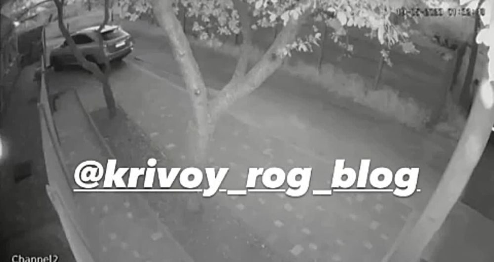 � ������ ���� ������ ������ ������