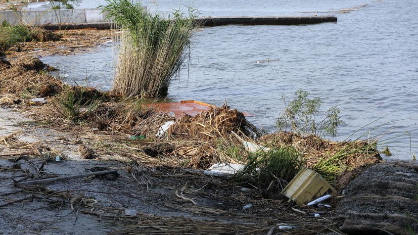 ��� ������� ����: ��� ����� ������ ����� �������� ��� �������������