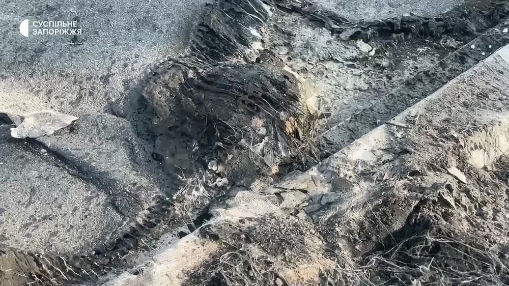 ���, ��� �������� �� �������������� ��� � ������ ���� ����� ��������� "���������"