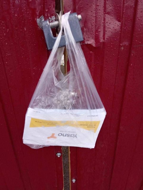 � ������ ���� ������� ������������ ������� ���� ������ ��������� �� ����