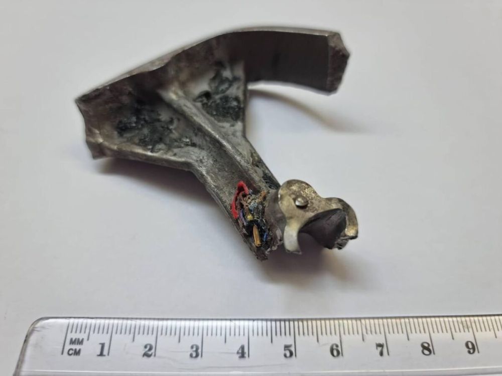 ����: ��� ��������� 15 ��������� �������� �� �������, �������� � ��������