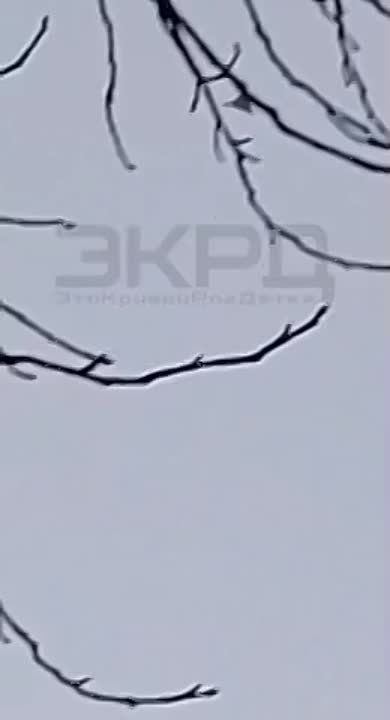-   ,         &quot;&quot;