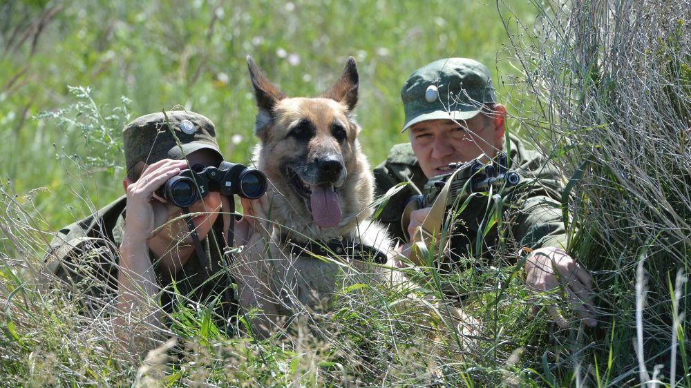       :   ,   &quot;&quot;  