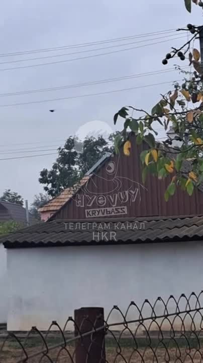  : - &quot;&quot;         
