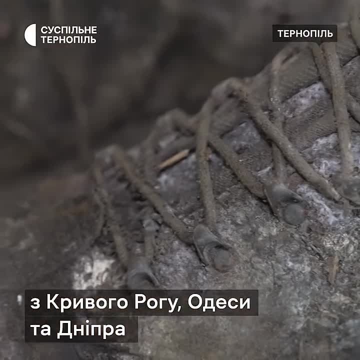   ,      ,   ,     ,   ,   