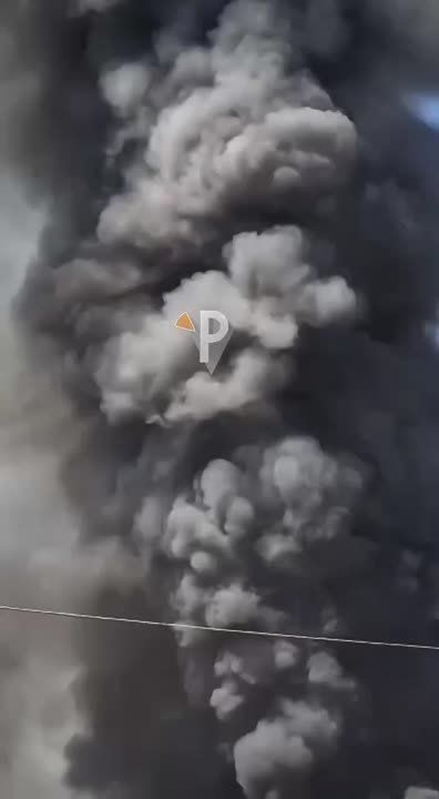       :     