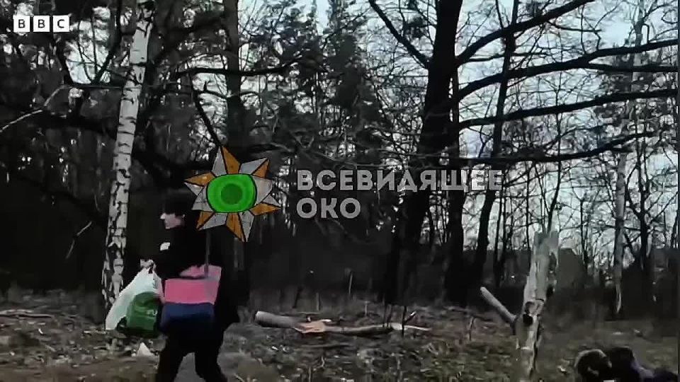        .    ,      