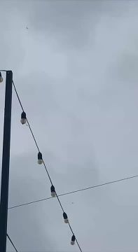             ,      