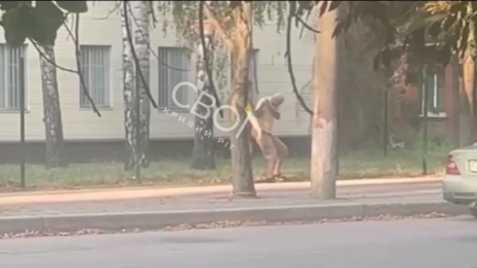        ,    