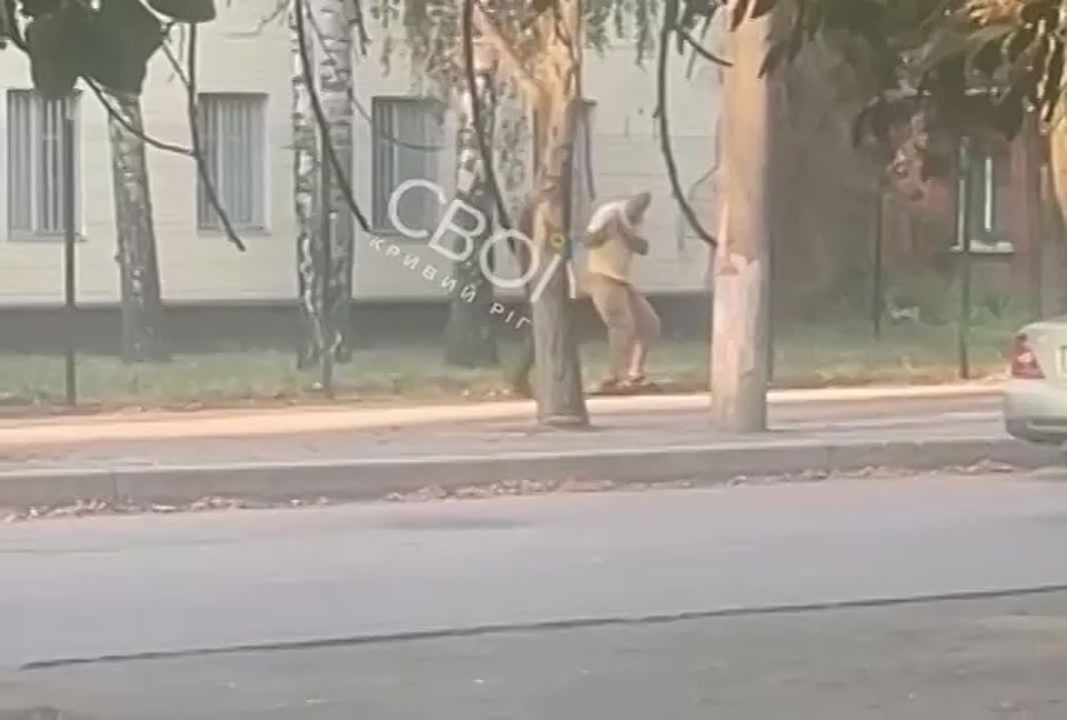  .       ,             