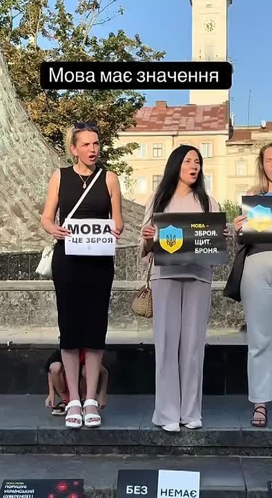 ׸    ,       ,         ,    ,    -     