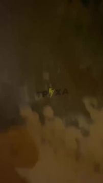 ���� �����.. ����� ������ �� ������������� ������� ���� � ������ �������� ������ ����