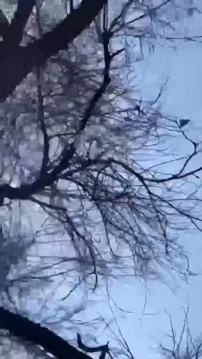 ������ ���. ����. ���� ������� ��������� �� ������