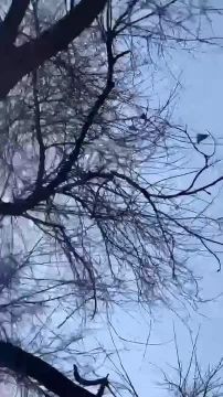 ������ � ������ ����, "������" ���� �� ����������