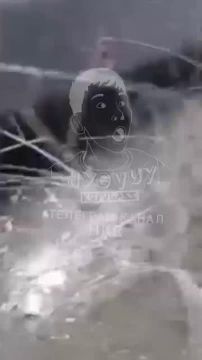 ������������ ��������� ������ �� �/� �������� ����������