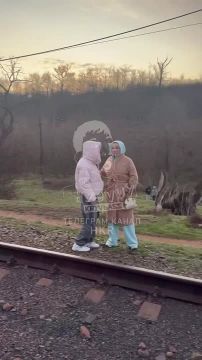 ���������� ������ ���� - ������ ��� ��� ���� �������� �� ������� �� ����� �������, ����� ��� ������ ���������� �� ����������� ��� �������� �������