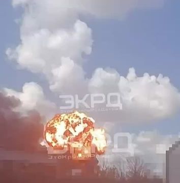 � ������ ���� ����� ������� ���� �������� ������� �����