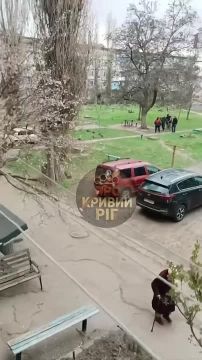В Кривом Роге банда пиксельных похитила очередного "добровольца" для отправки на утилизацию