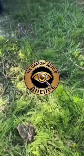 ������� �������������� �����������