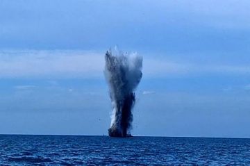 ������ ��� �� ����� 13 �������