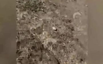 ��� ���������� ��������� � ��, � ������ ���� ��������� ��-�� ������ ��� ������