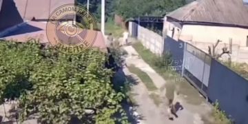 � ���� ������������ ��� ������ ����� �������� ������ �� �������� ������, ������� ����� � �������